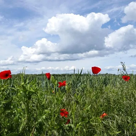 Ostseehaus Sabine * Groß Schwansee