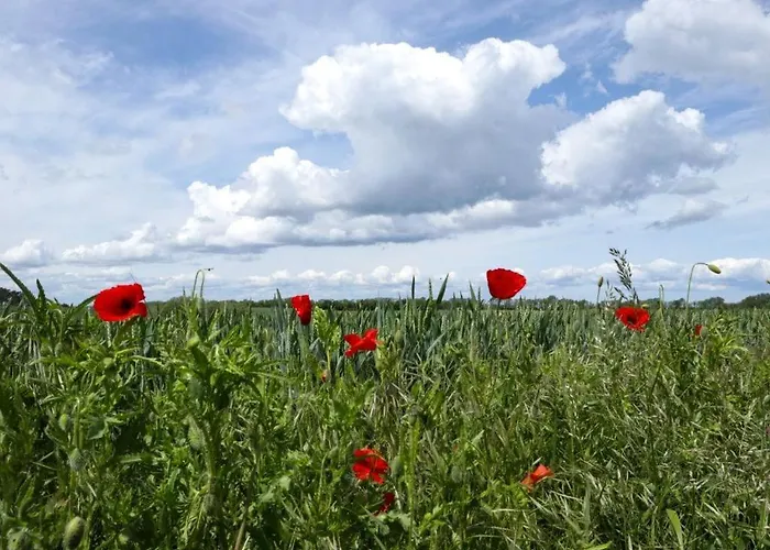 Ostseehaus Sabine * Groß Schwansee